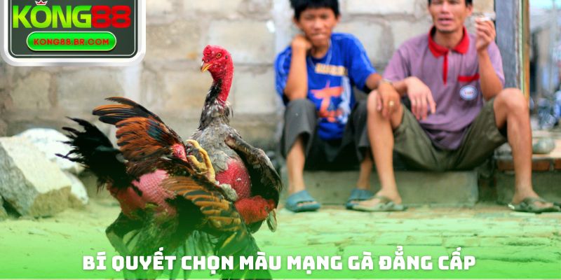 Bí quyết chọn màu mạng gà đẳng cấp