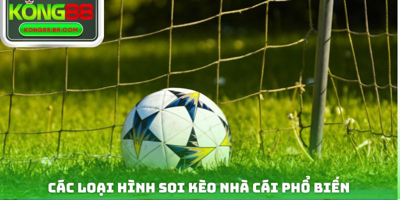 Các loại hình soi kèo nhà cái phổ biến