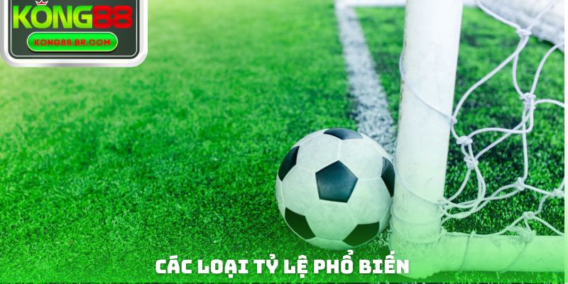 Các loại tỷ lệ phổ biến