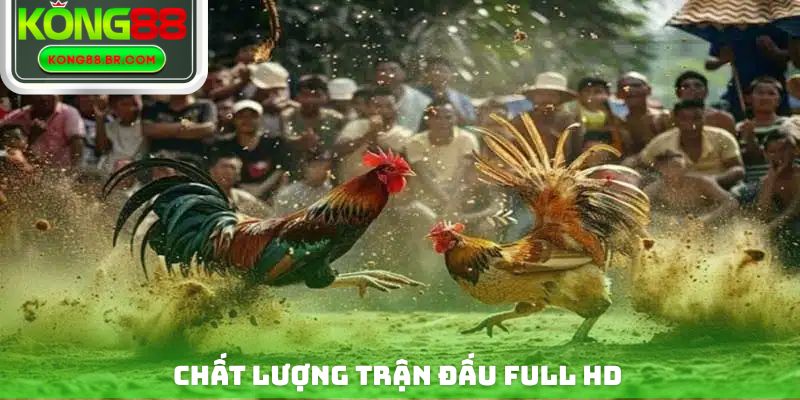 Chất lượng trận đấu Full HD