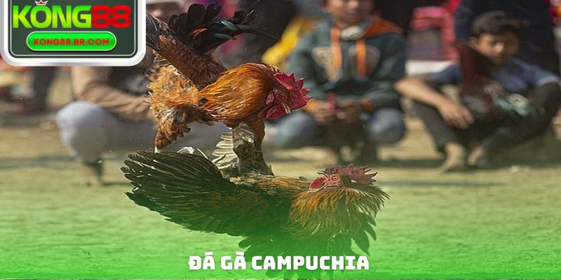 Đá Gà Campuchia