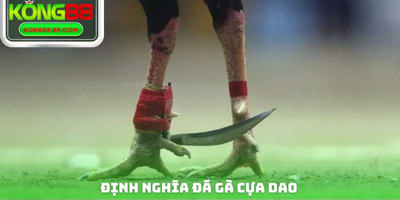 Định nghĩa đá gà cựa dao