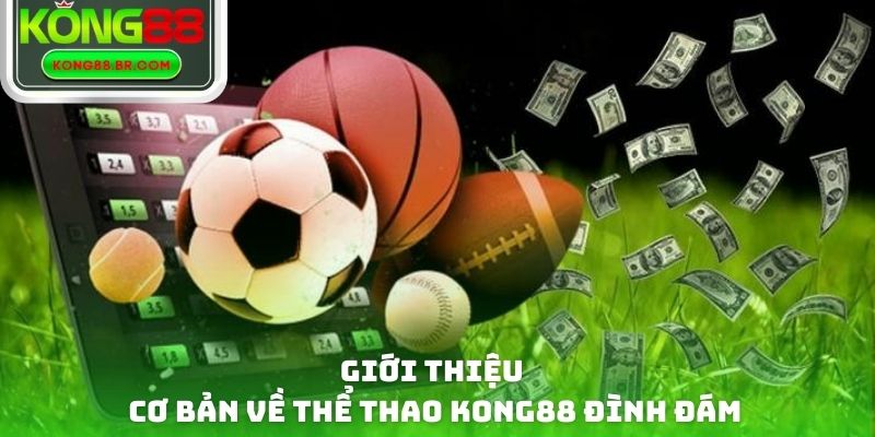 Giới thiệu cơ bản về thể thao Kong88 đình đám