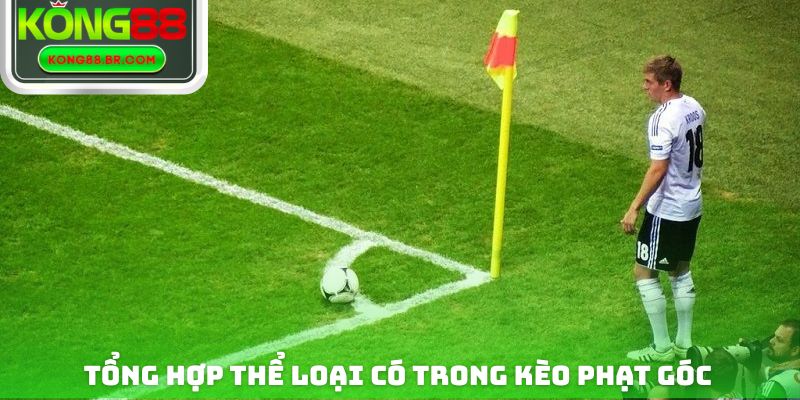 Một số thể loại có trong cược phạt góc