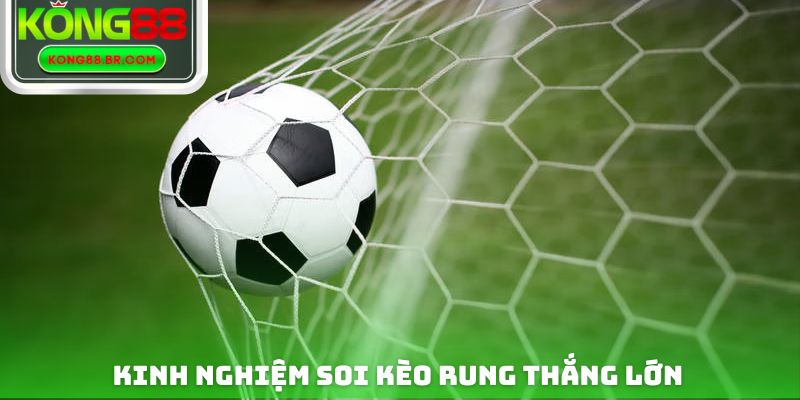 Kinh nghiệm đặt cược rung trong các trận đấu bóng đá