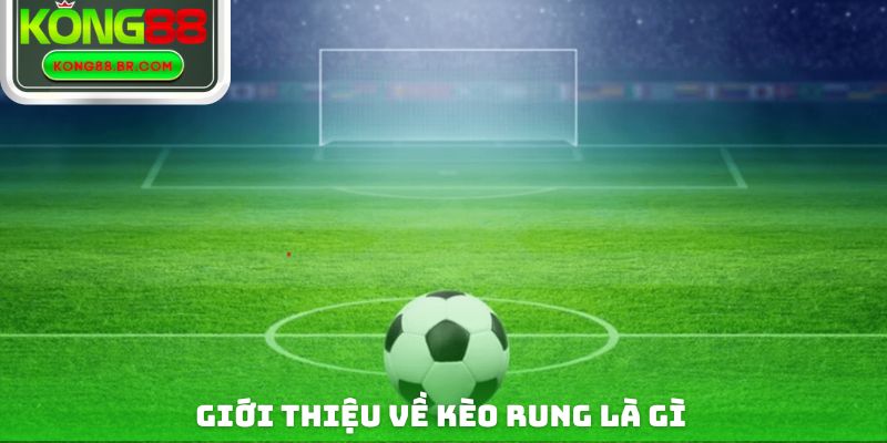 Giới thiệu cơ bản về tỷ lệ kèo rung là gì