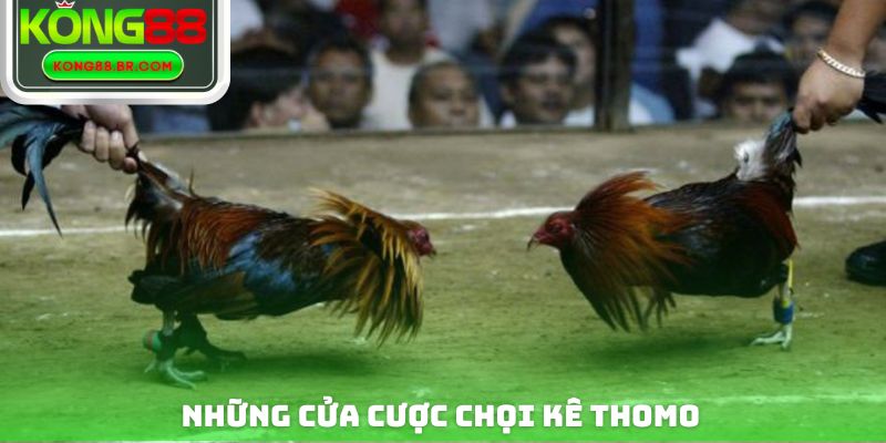 Những cửa cược chọi kê thomo