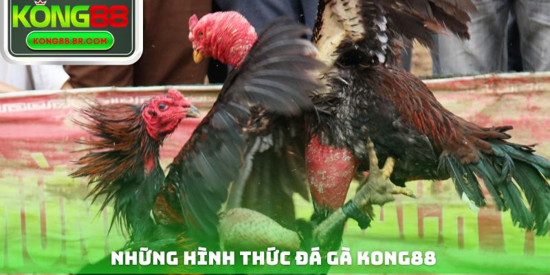 Những hình thức đá gà Kong88