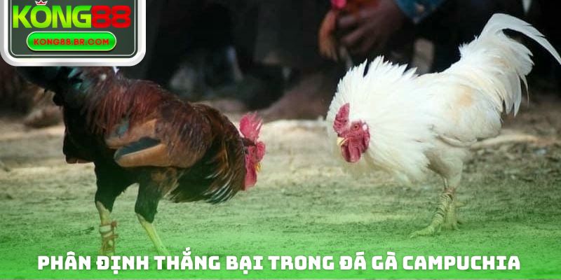 Phân định thắng bại trong đá gà campuchia