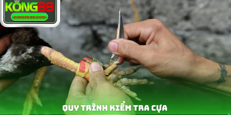 Quy trình kiểm tra cựa