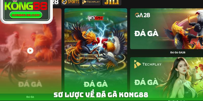 Sơ lược về đá gà Kong88