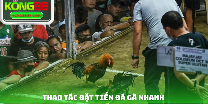 Thao tác đặt tiền đá gà nhanh