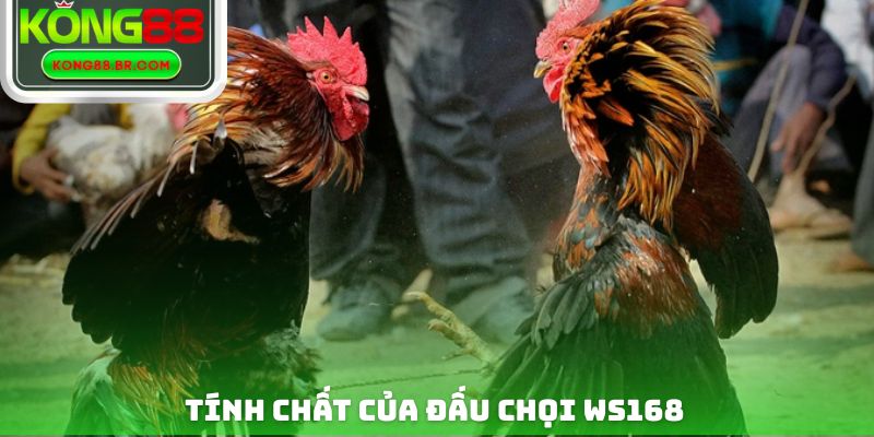 Tính chất của đấu chọi WS168